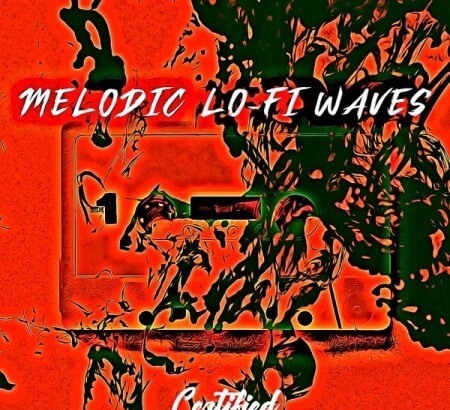 Certified Audio LLC Melodic Lo-Fi Waves WAV